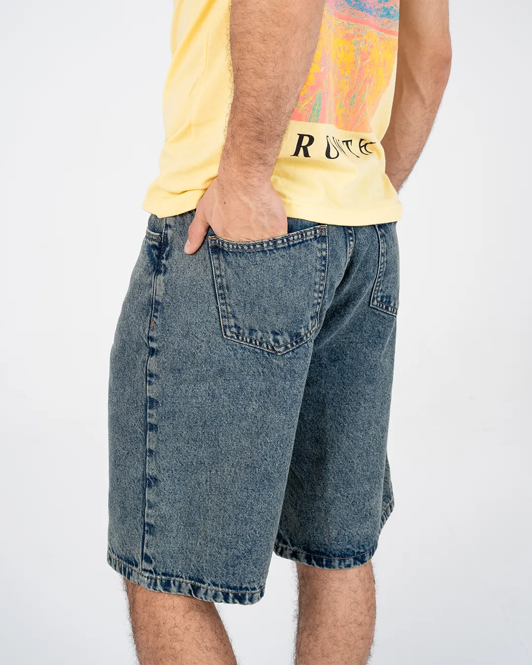 Denim Shorts Regular Fit