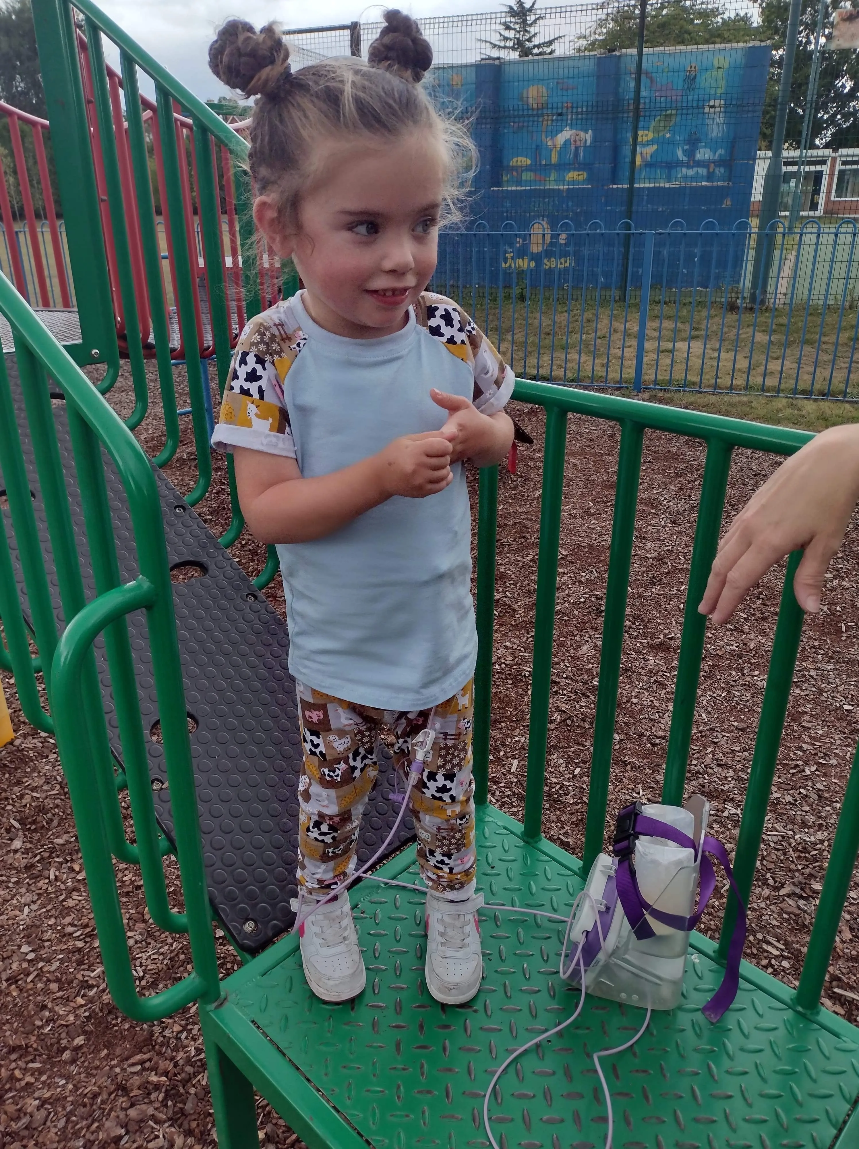Farmyard Leggings