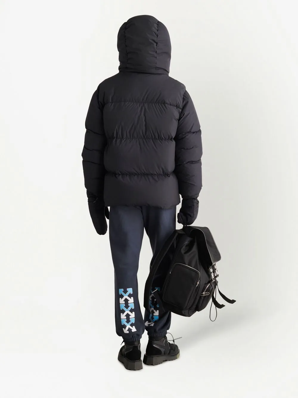 Hooded Puffer