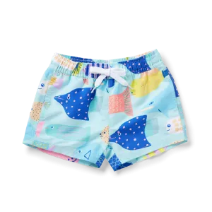 Rainbow Reef Boardshorts