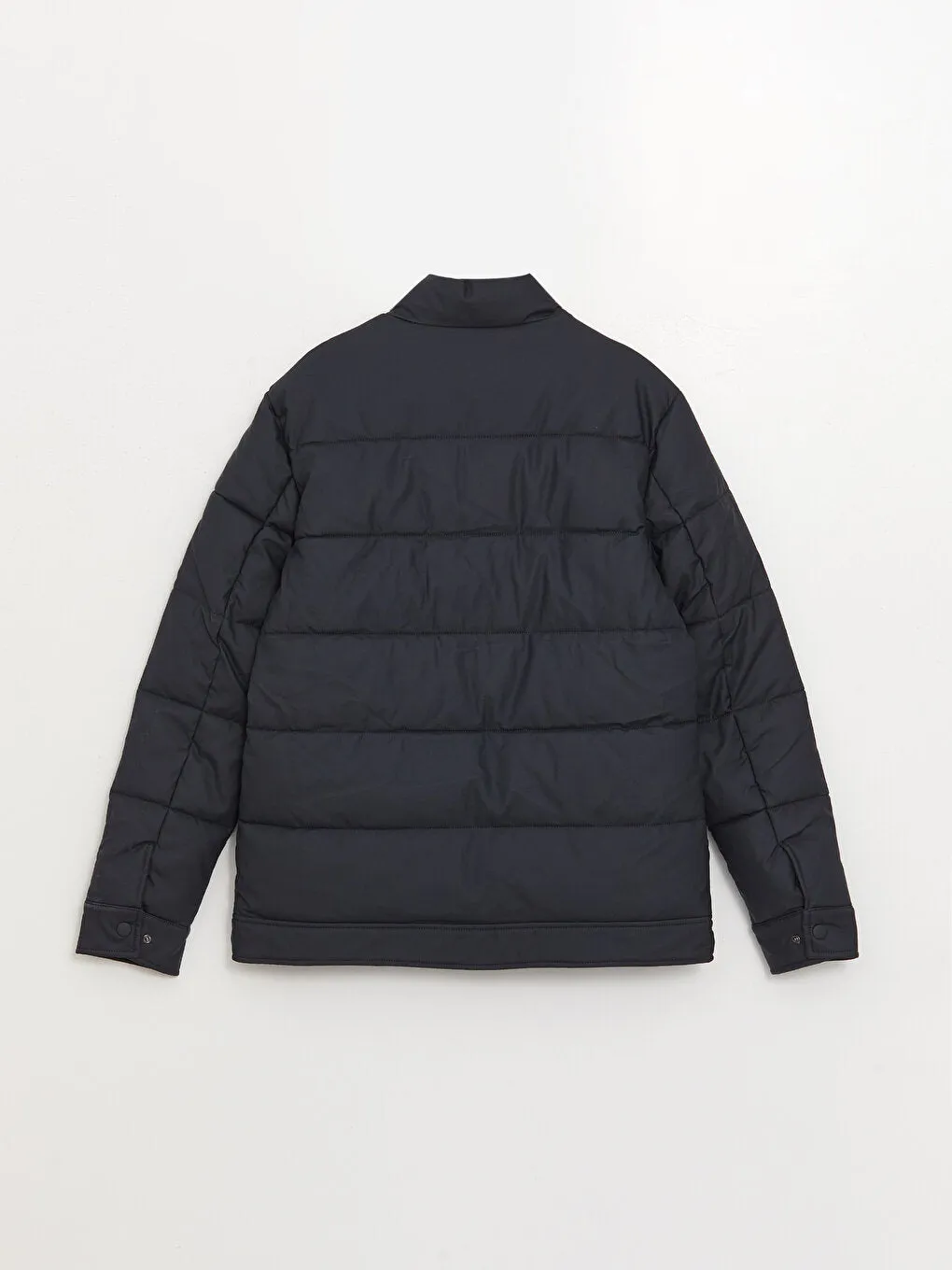 Standard Mold Stand Collar Men Puffer Coat