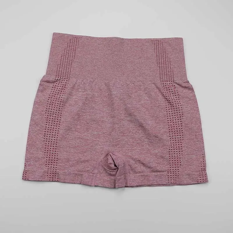 Vital Seamless High Waist Yoga Shorts for Women