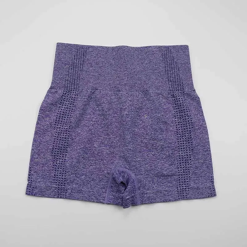 Vital Seamless High Waist Yoga Shorts for Women